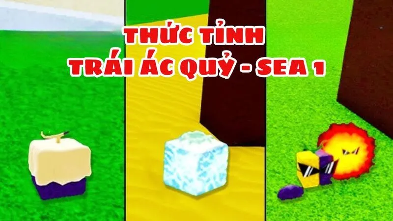 Cách Thức Tỉnh Trái Ác Quỷ Tại Sea 1 (Sơ Cấp)